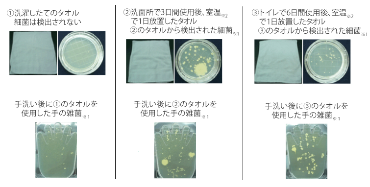 タオルから検出される細菌