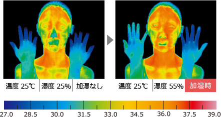 加湿の有無による人体の温度の比較
