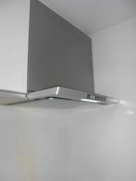 施工後 TLR-3S-AP751SV