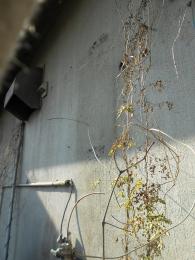 施工中 RUXC-A1610W