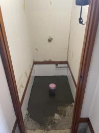 施工中 アメージュZ便器(フチレス)