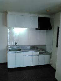 アイオ産業流し台KW 施工後