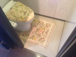 施工前 アラウーノ