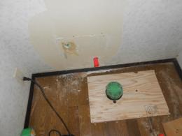 施工中 ネオレスト