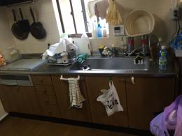 施工前 アレスタ I型