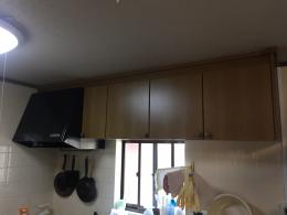 施工前 アレスタ I型