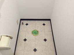 施工前 ピュアレストQR