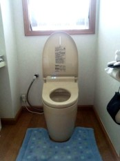 ネオレスト 施工後