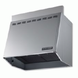 FVM6061LSI