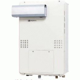 GTH-CP2461SAW6H-L-1 BL