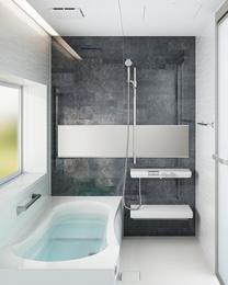 フェリテプラス(Felite plus) 1616